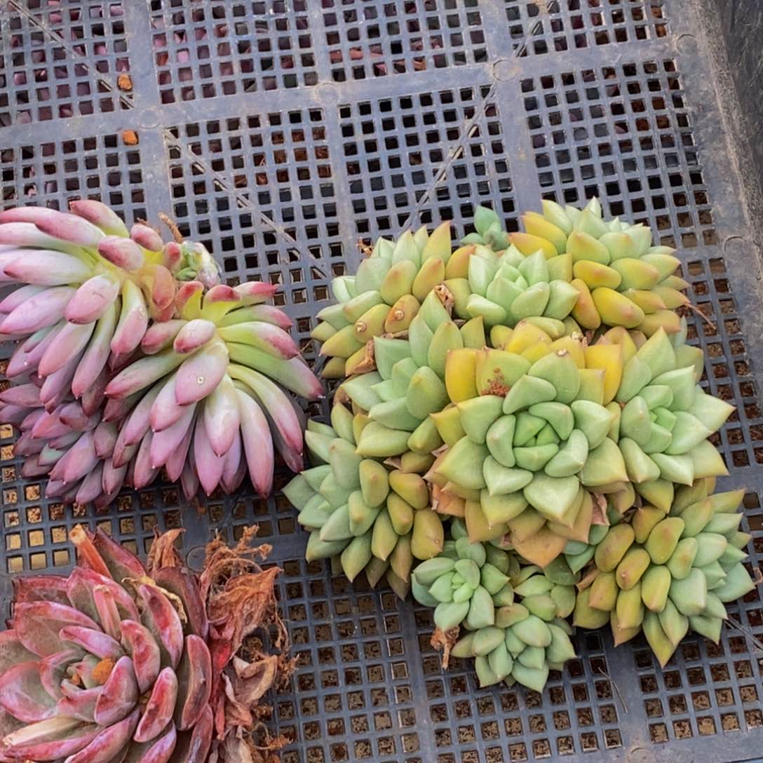 885的我是一个人的时候