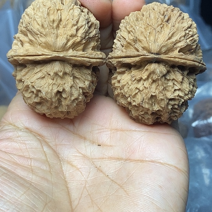 文玩核桃把件云南铁核桃基地47