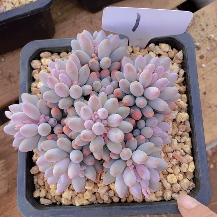 这个点就不应该喝