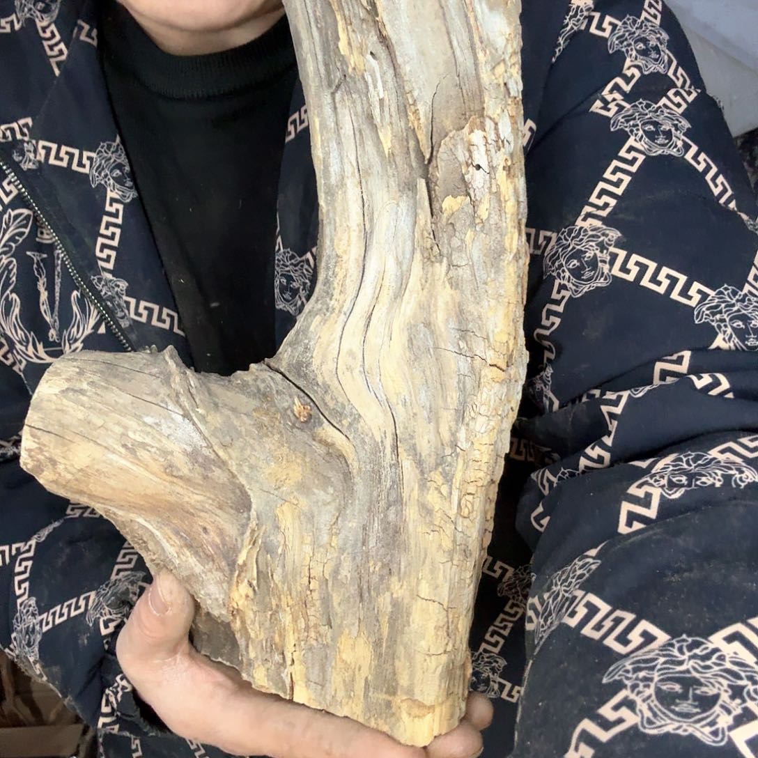 陶瓷凭**雨太行崖柏摆件