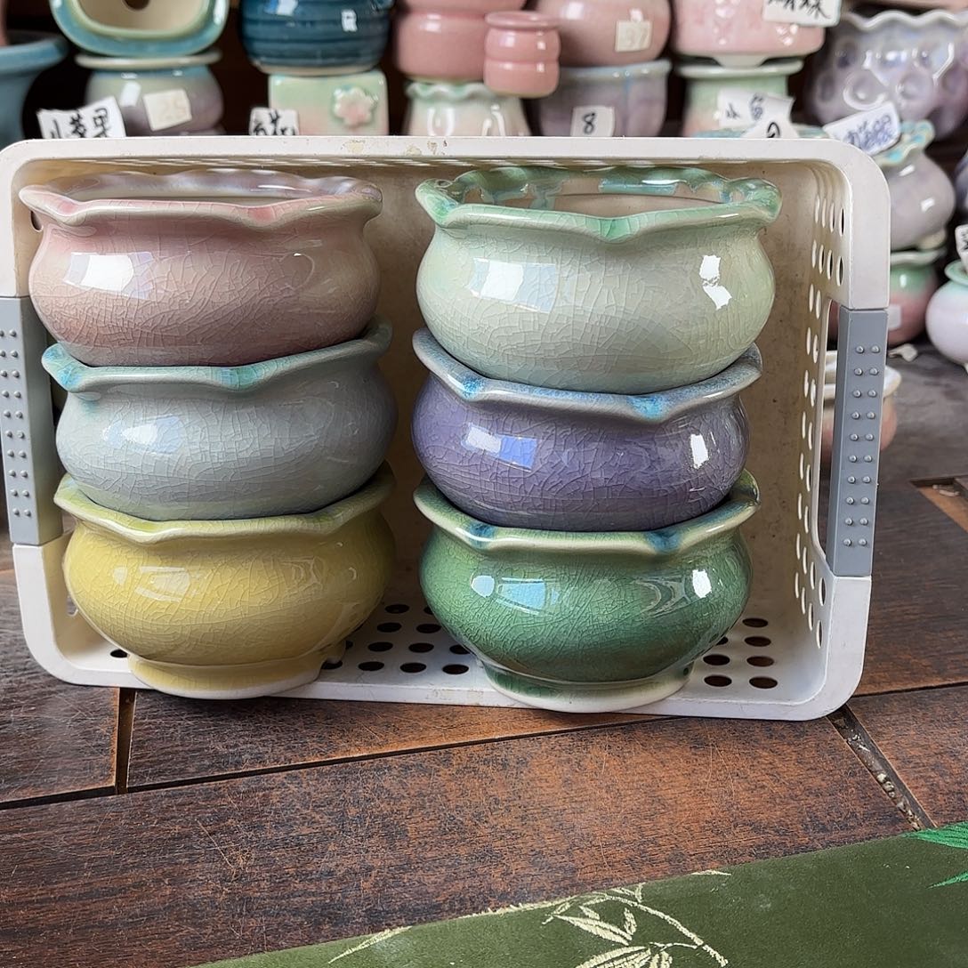 量货/8.5口高6深浅搭配发4