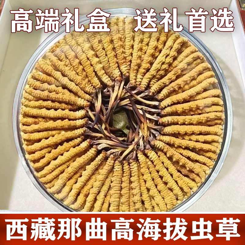 【金芽小短把】西藏那曲高海拔冬虫夏草虫草礼盒装 送礼首选