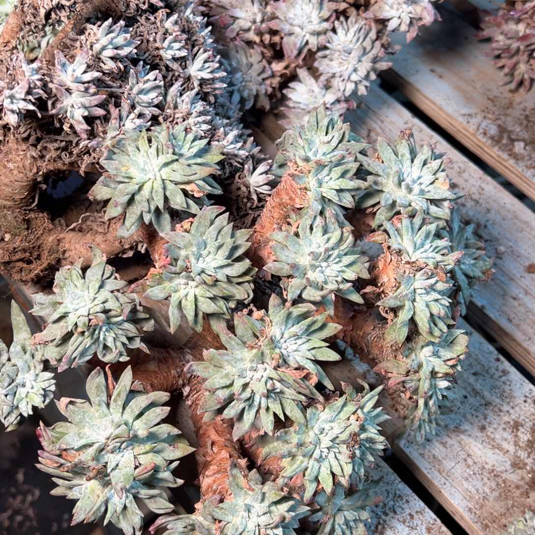 是**吖7468哈哈哈哈哈哈哈哈