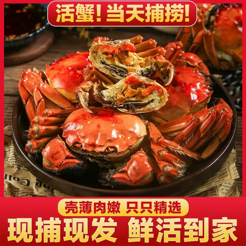 【活蟹】苏州大闸蟹公蟹4.6-4.3两+母蟹3.6-3.3两8/10只礼盒装活蟹现发 顺丰/京东发货