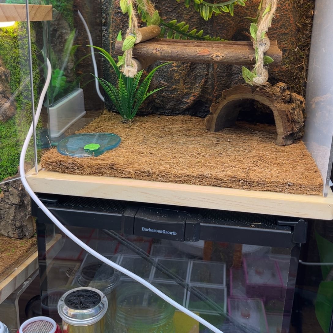 实木大生态➕巨拟哦哈哈