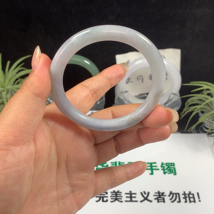未镶嵌手镯翡翠12