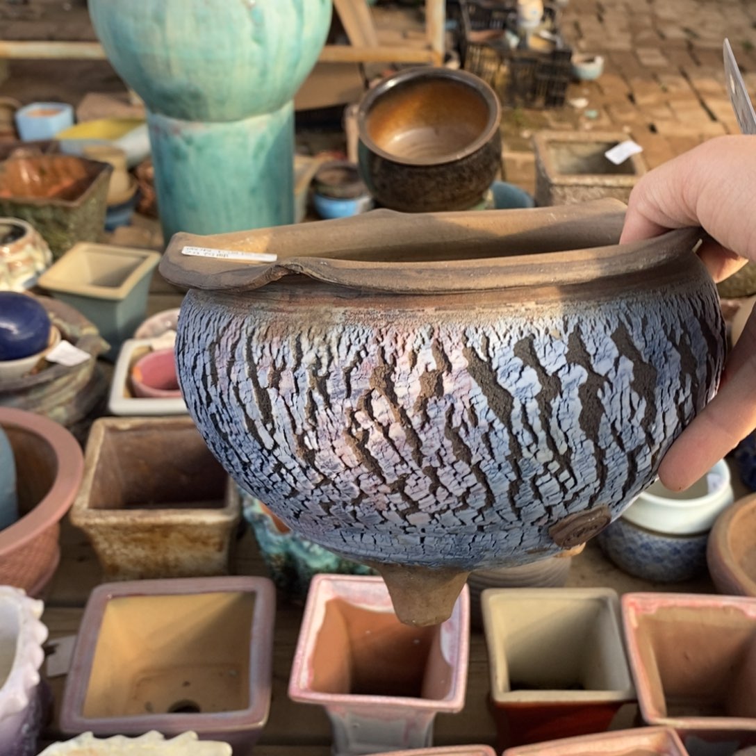 99号多肉盆口径16