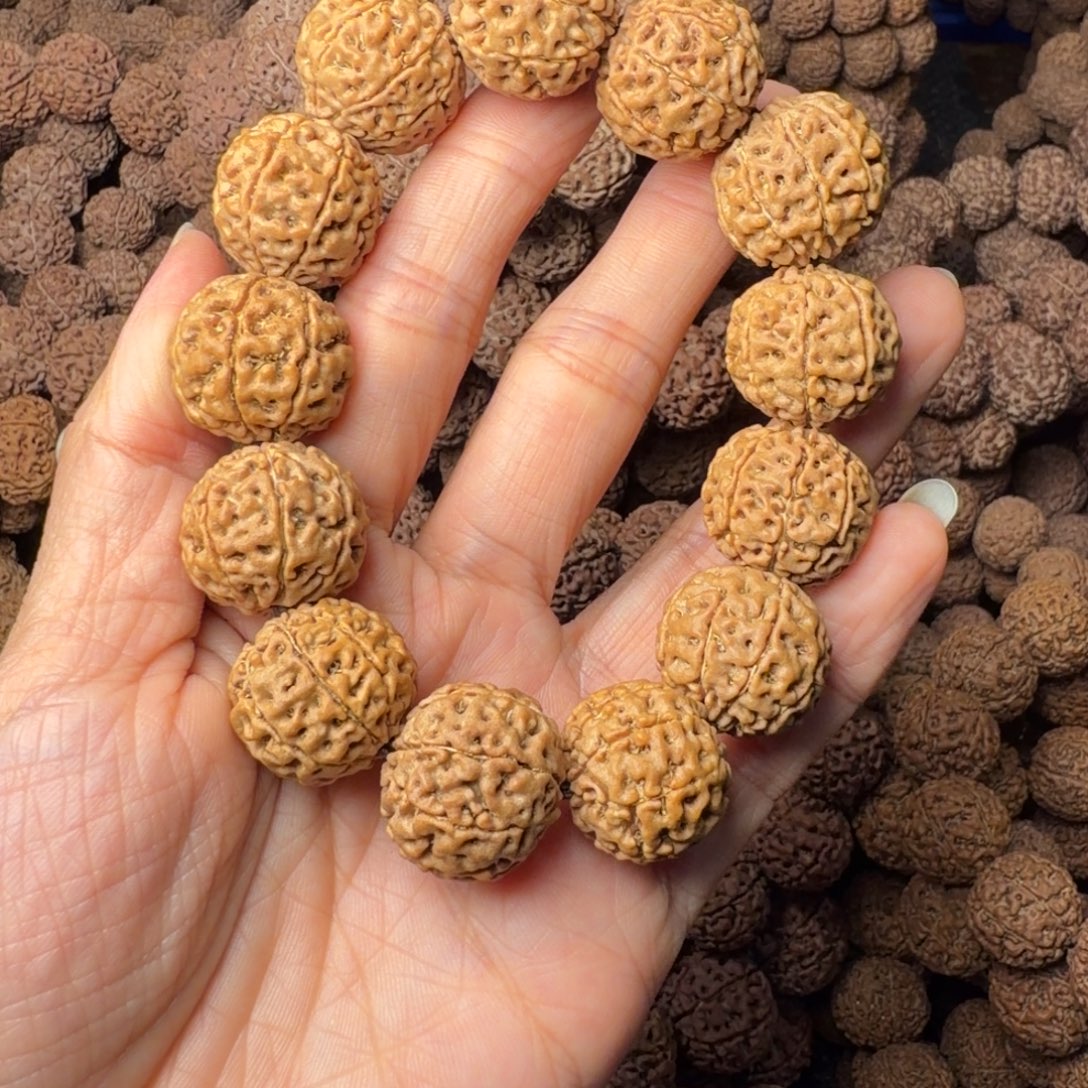 手串金刚菩提8瓣卡19尺，87号