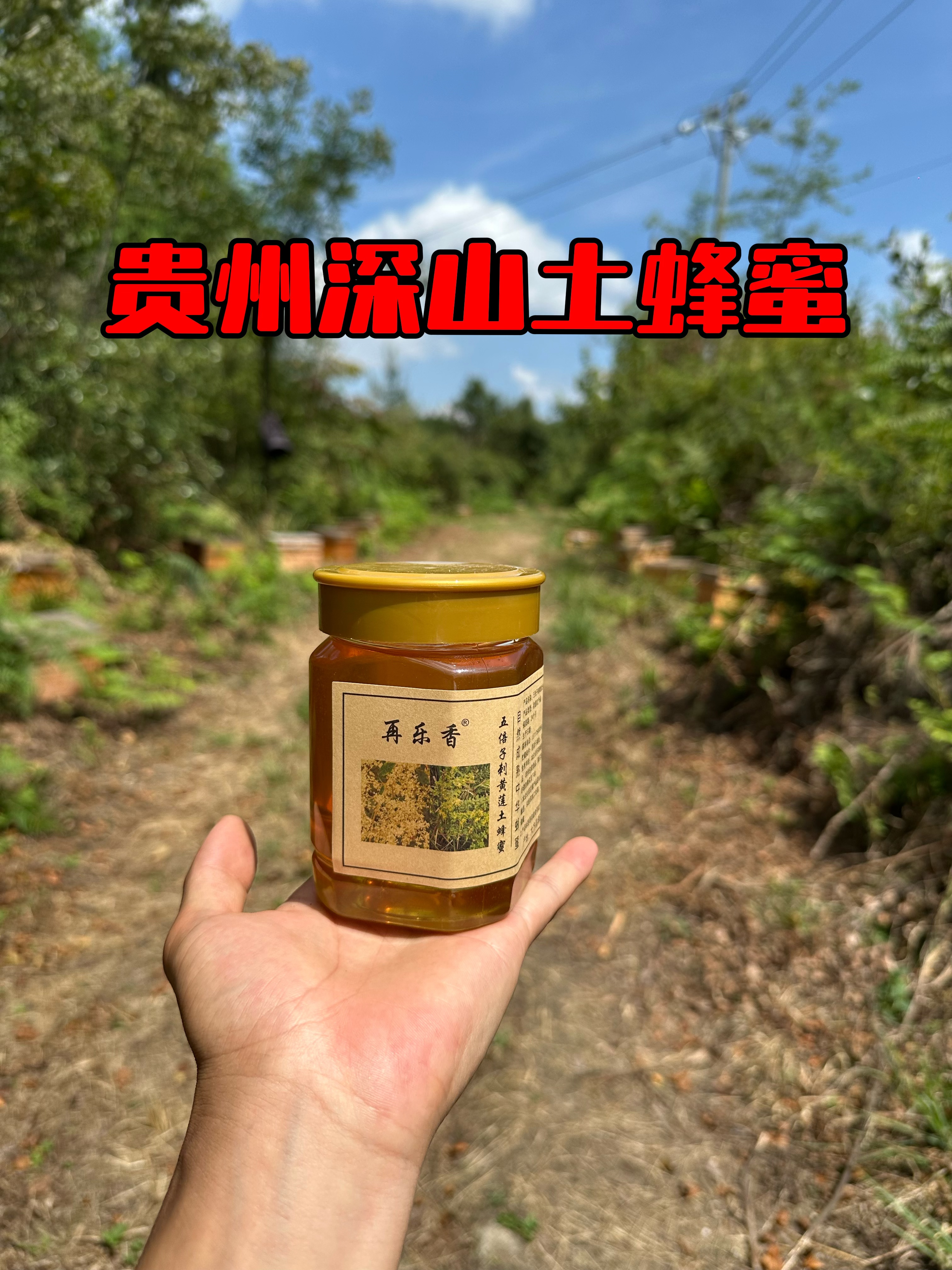 贵州土蜂蜜天然农家土蜂蜜天然正宗土蜂蜜原生态土蜂蜜