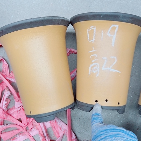 红陶紫砂紫砂紫砂