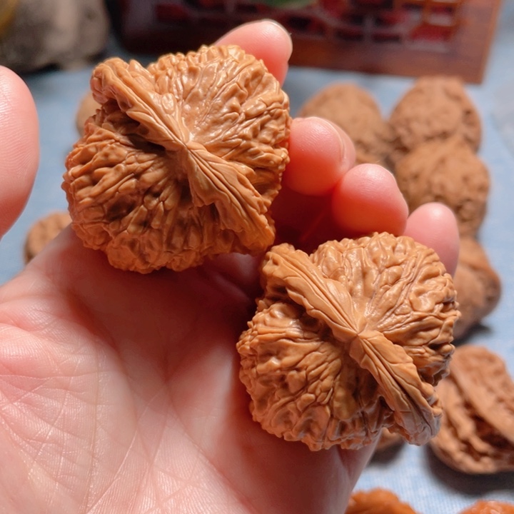 43尺寸白狮子上色快