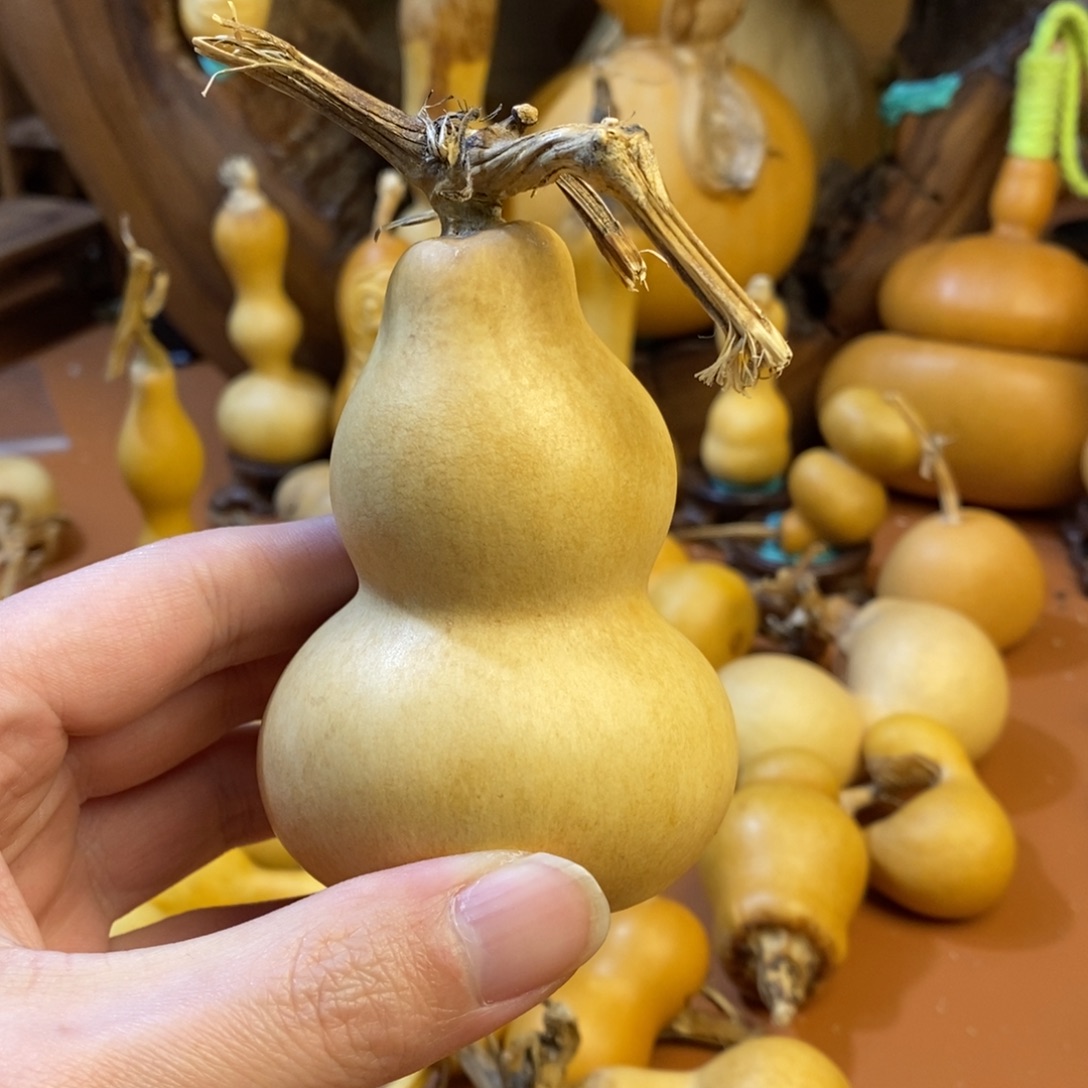 辉***哥教练教练教练教练啦