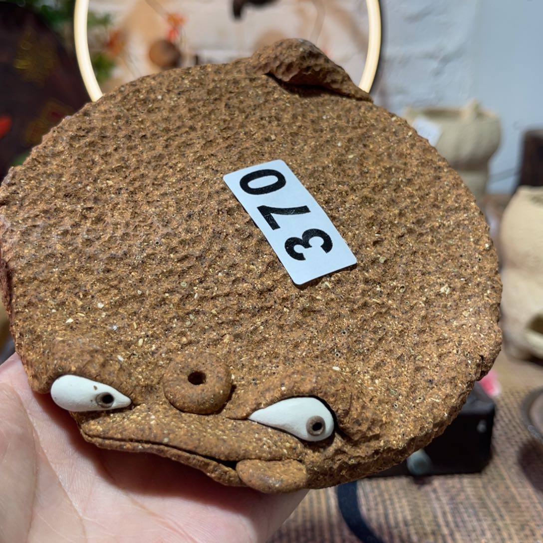 木村信弘柴烧保平