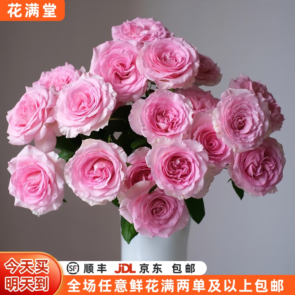 新年热卖【次日达·洛神】10枝洛神·鲜切花·生活鲜花·任意两单升级顺丰包邮·三单送随机花瓶·家居花·次日达单品