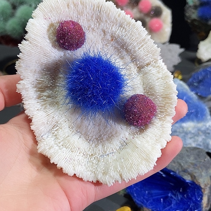 郑***天石材石头。。。。。。。。。