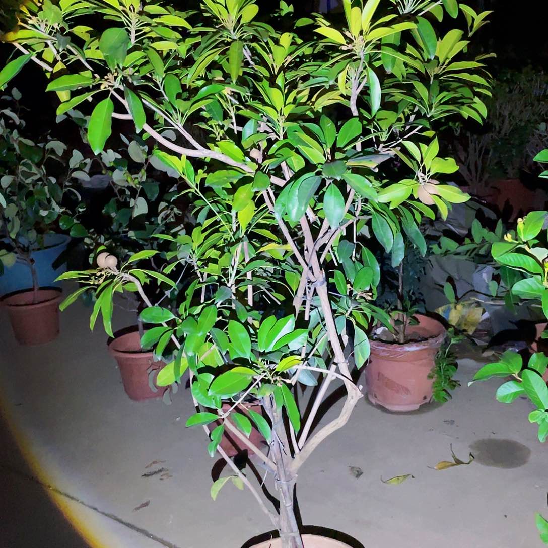 完全开放郡*g m 8888888888888