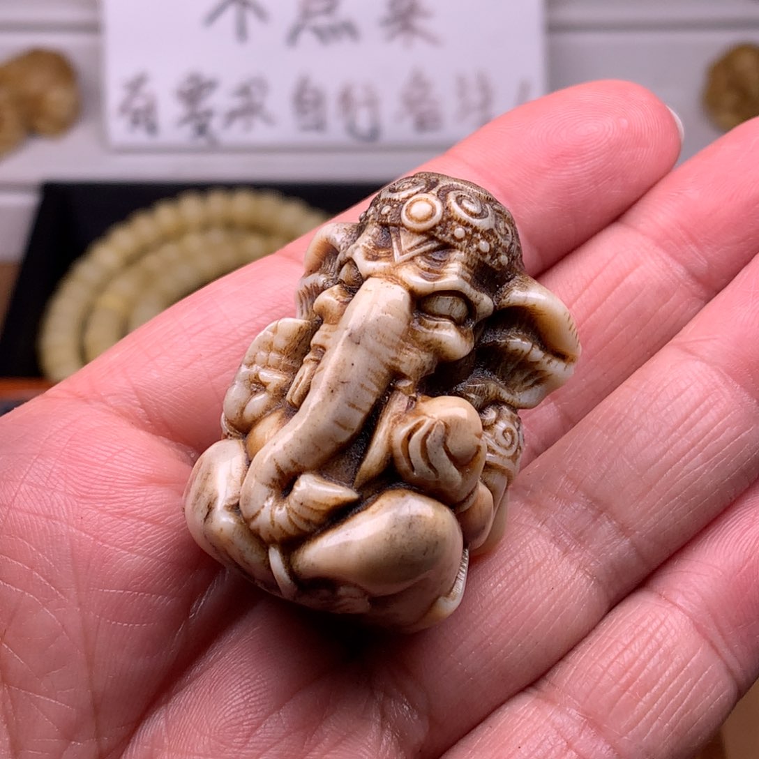 鹿骨其他天天都在盘  