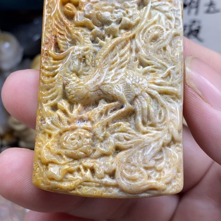 硅化珊瑚（珊瑚玉）未镶嵌颈饰