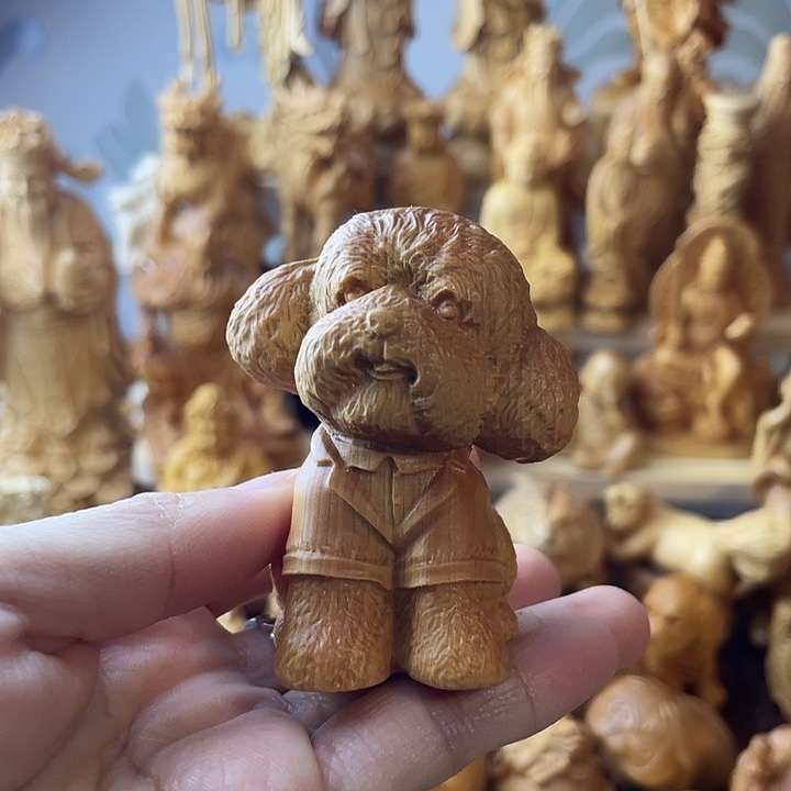 柏木（崖柏）崖柏泰迪