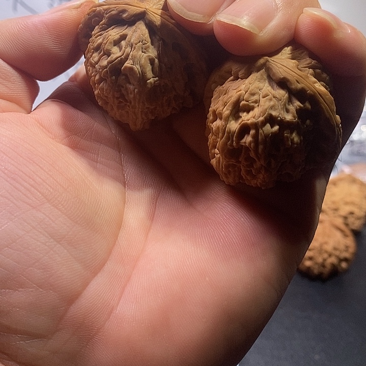 手串/手链核桃40白狮子有修