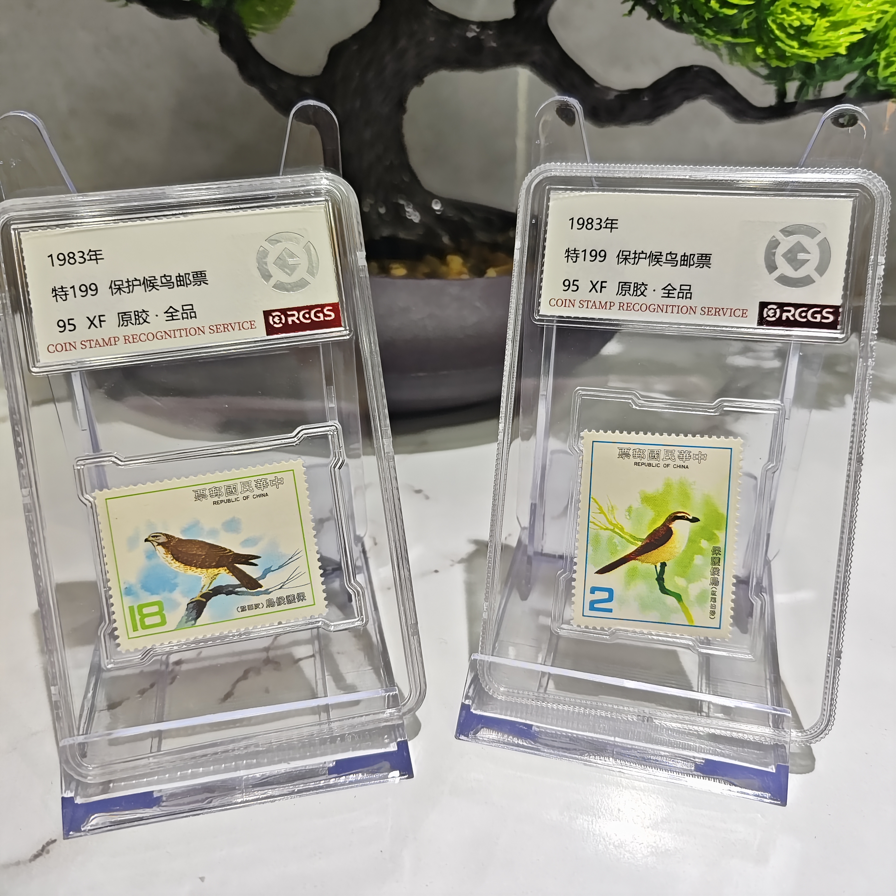 特119 保护候鸟邮票 RCGS评级 小盒装