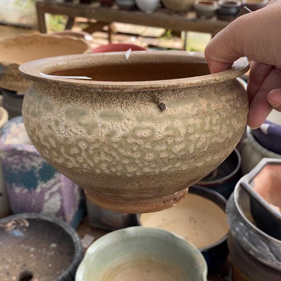 90号多肉盆口径14