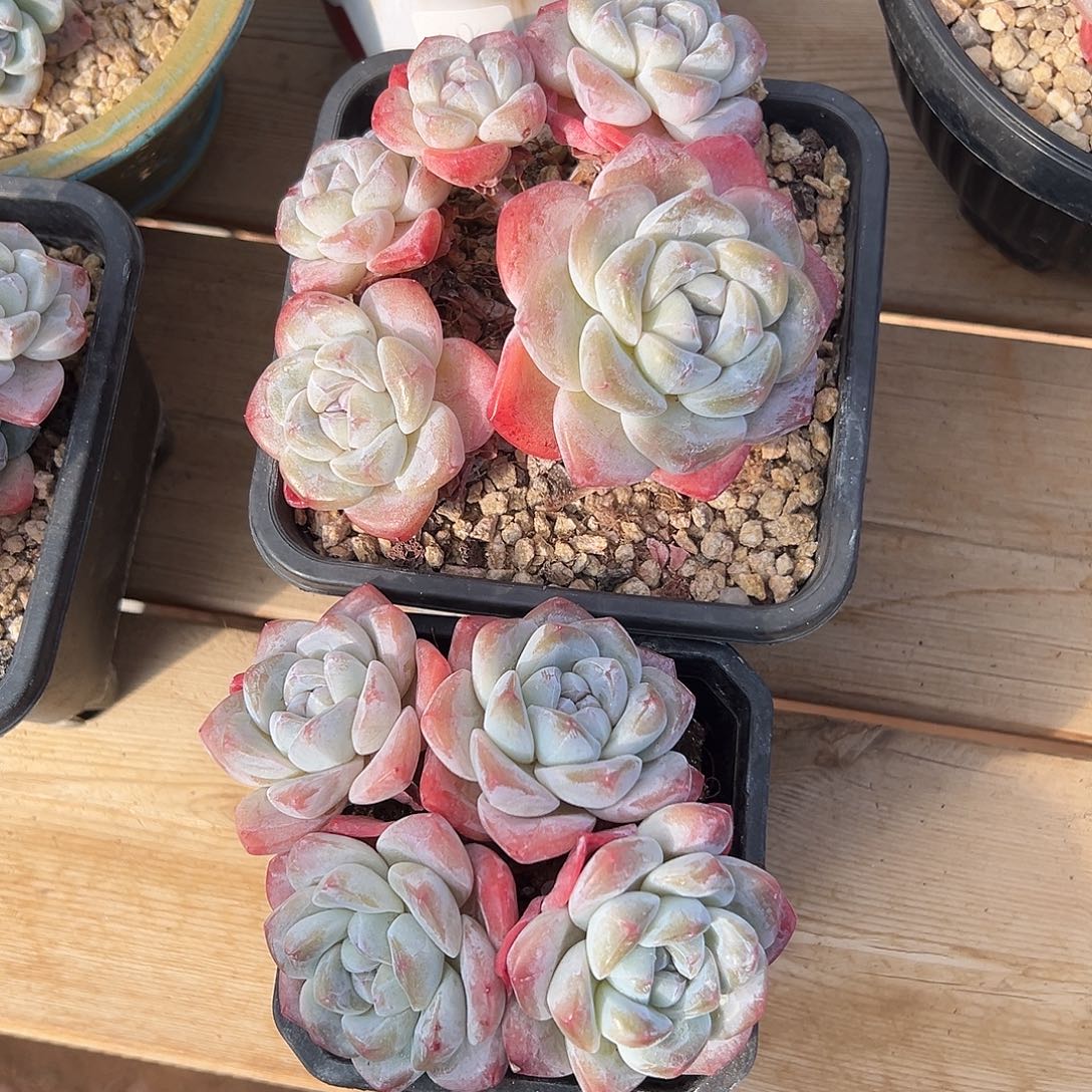 哈哈哈哈哈哈哈哈哈