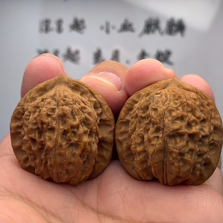 吊坠文玩核桃241血麒麟