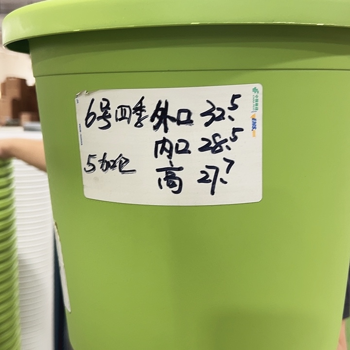 特价6号四季口32高28混色5个无托