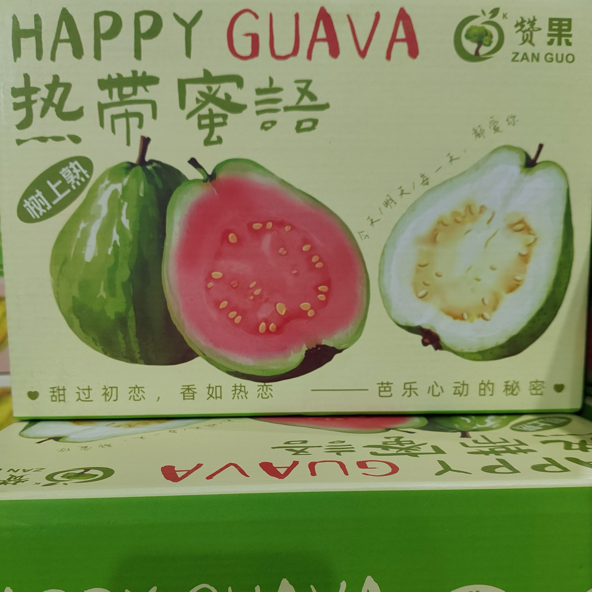 【富贵专属顺丰次日达】海南红白双拼芭乐1.5公斤包邮到家