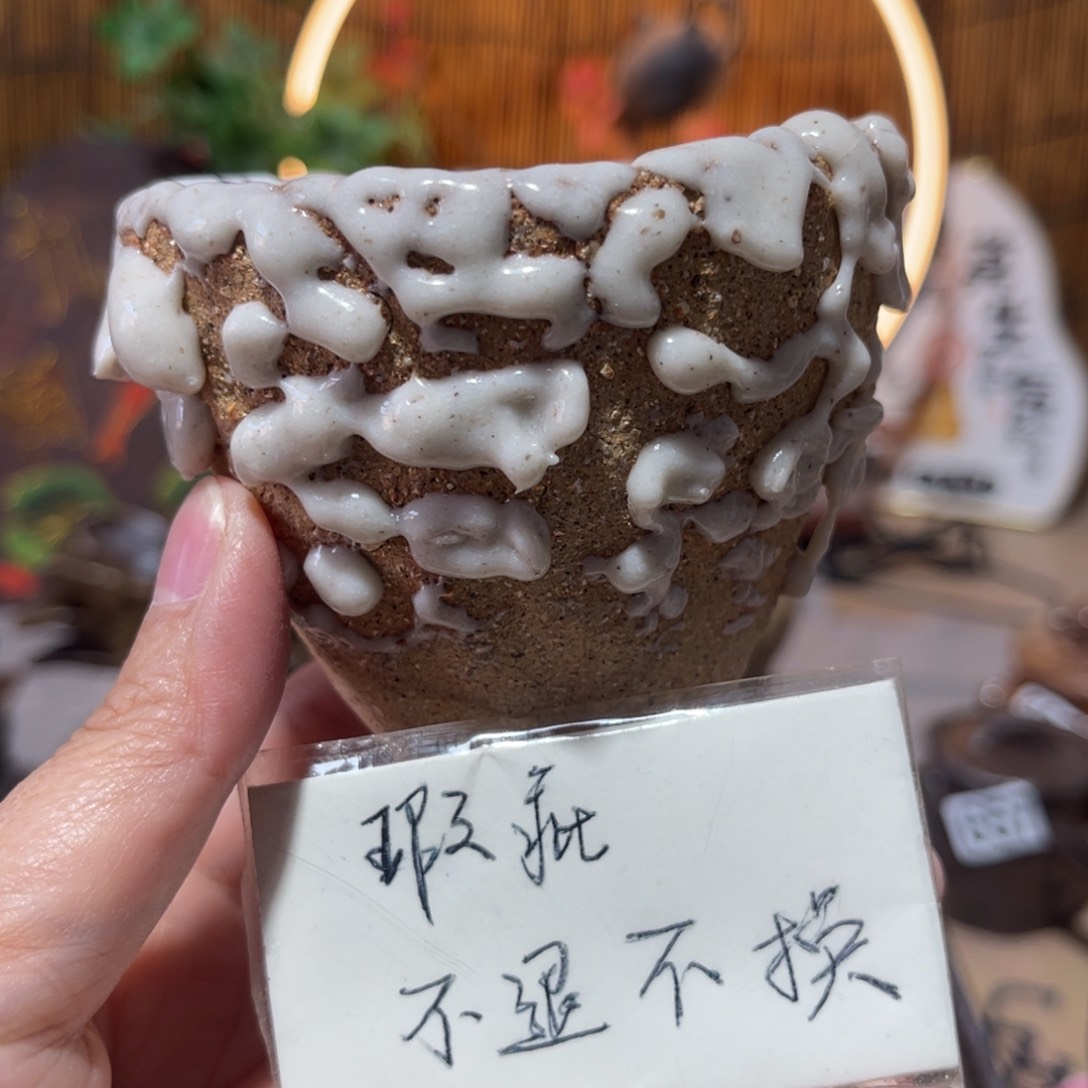 糖*亮木村信鸿柴烧宝瓶