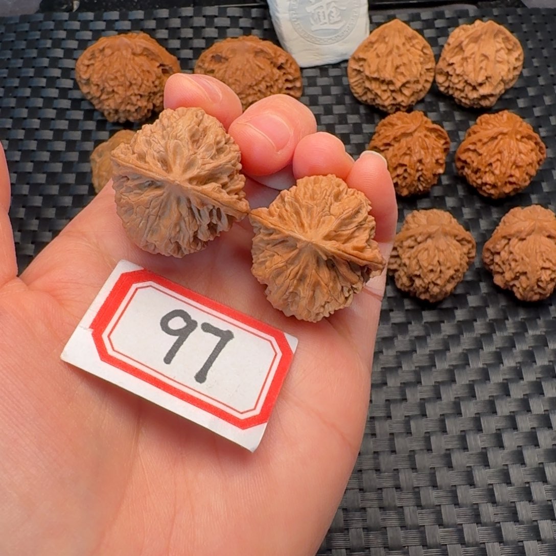 核桃全品31尺苹果园