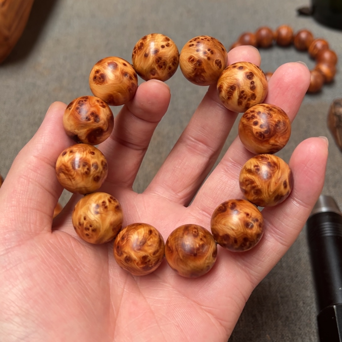 柏木（崖柏）北太行陈化崖柏