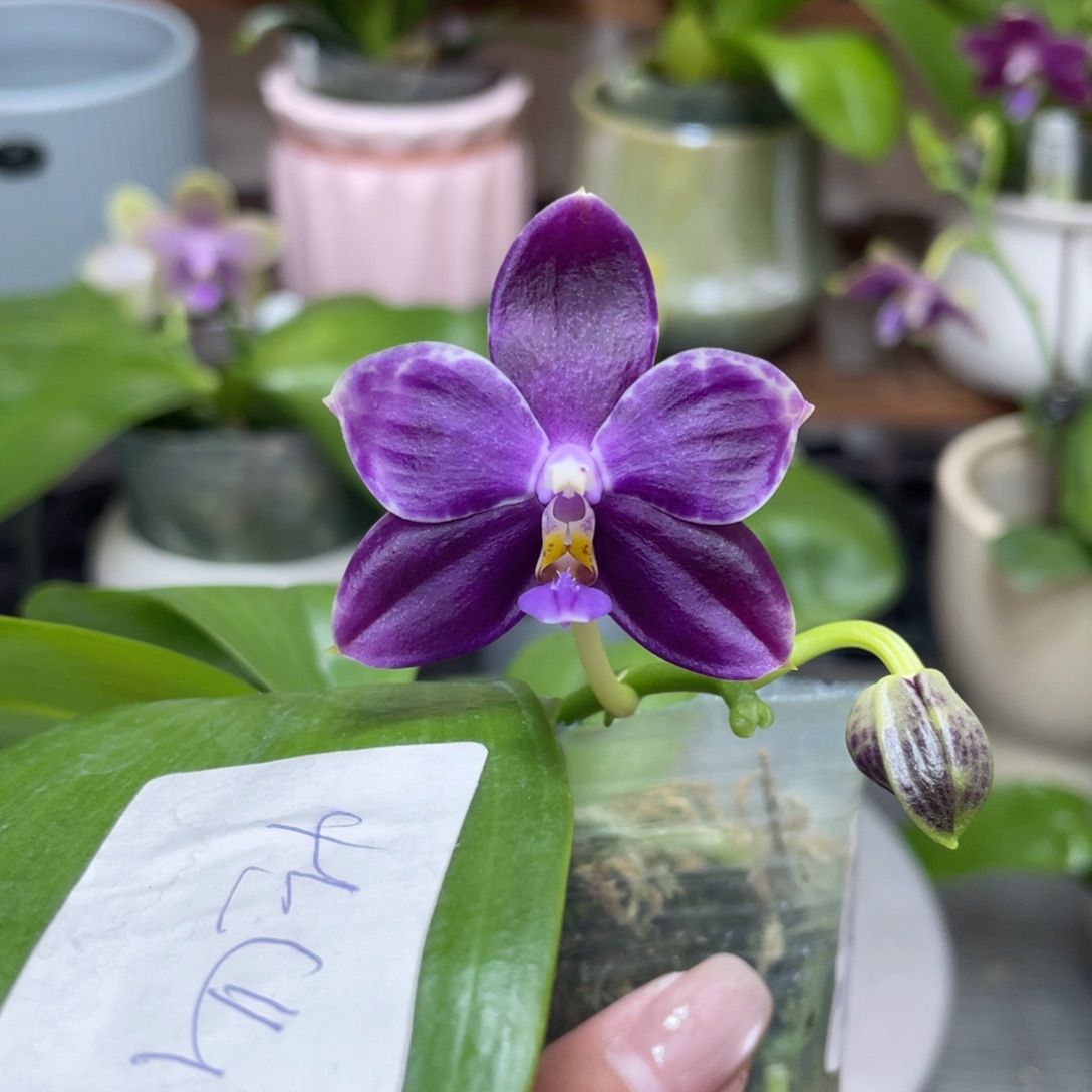 完全开放111111111