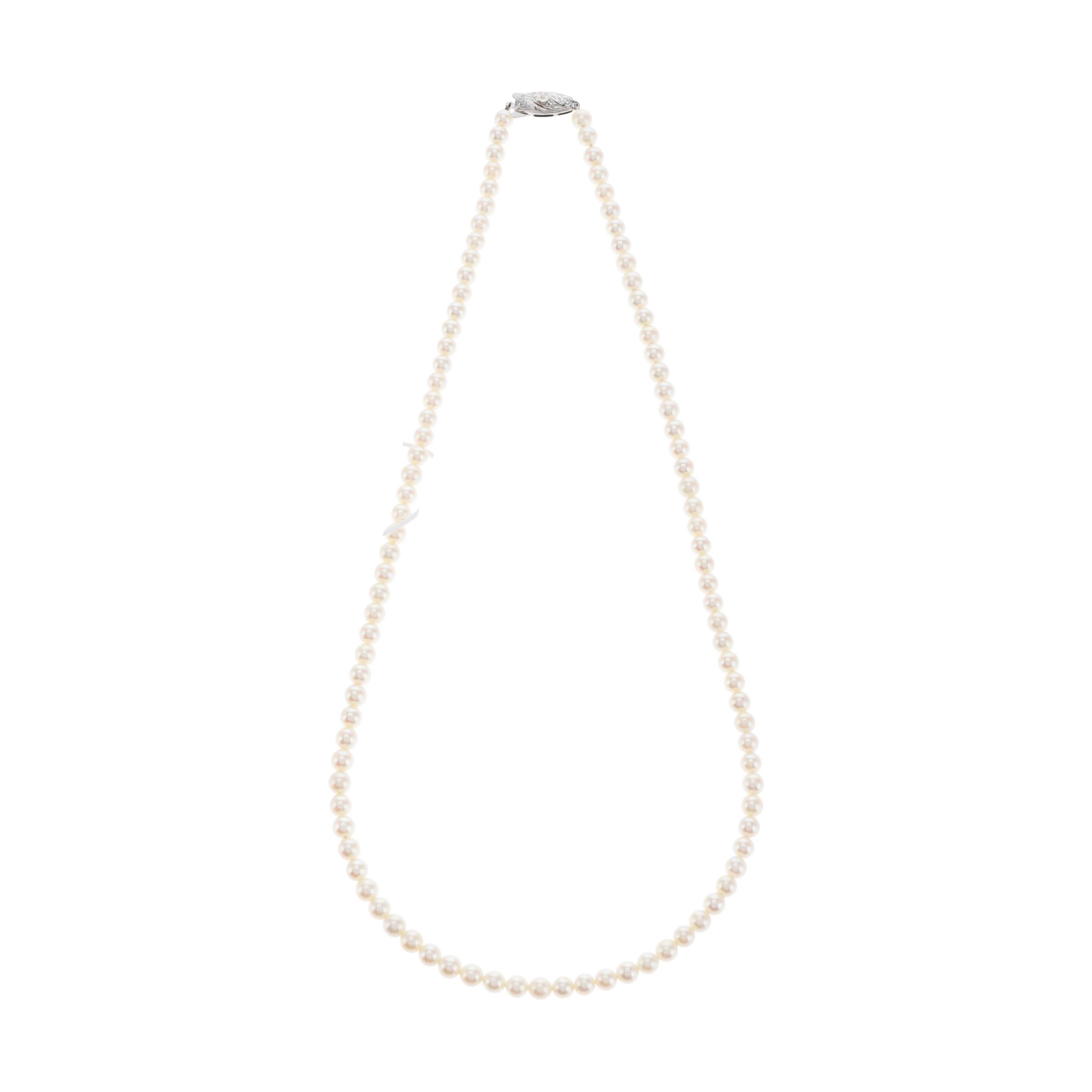 红布林/C1开箱/塔思琦/34513091/z/121107