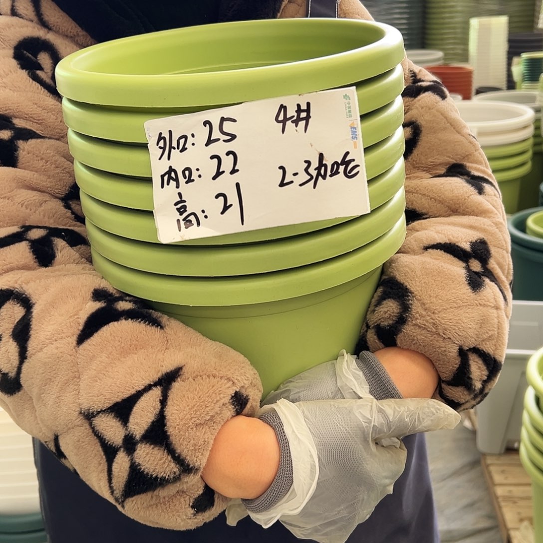 四季盆4#果绿色8个无托