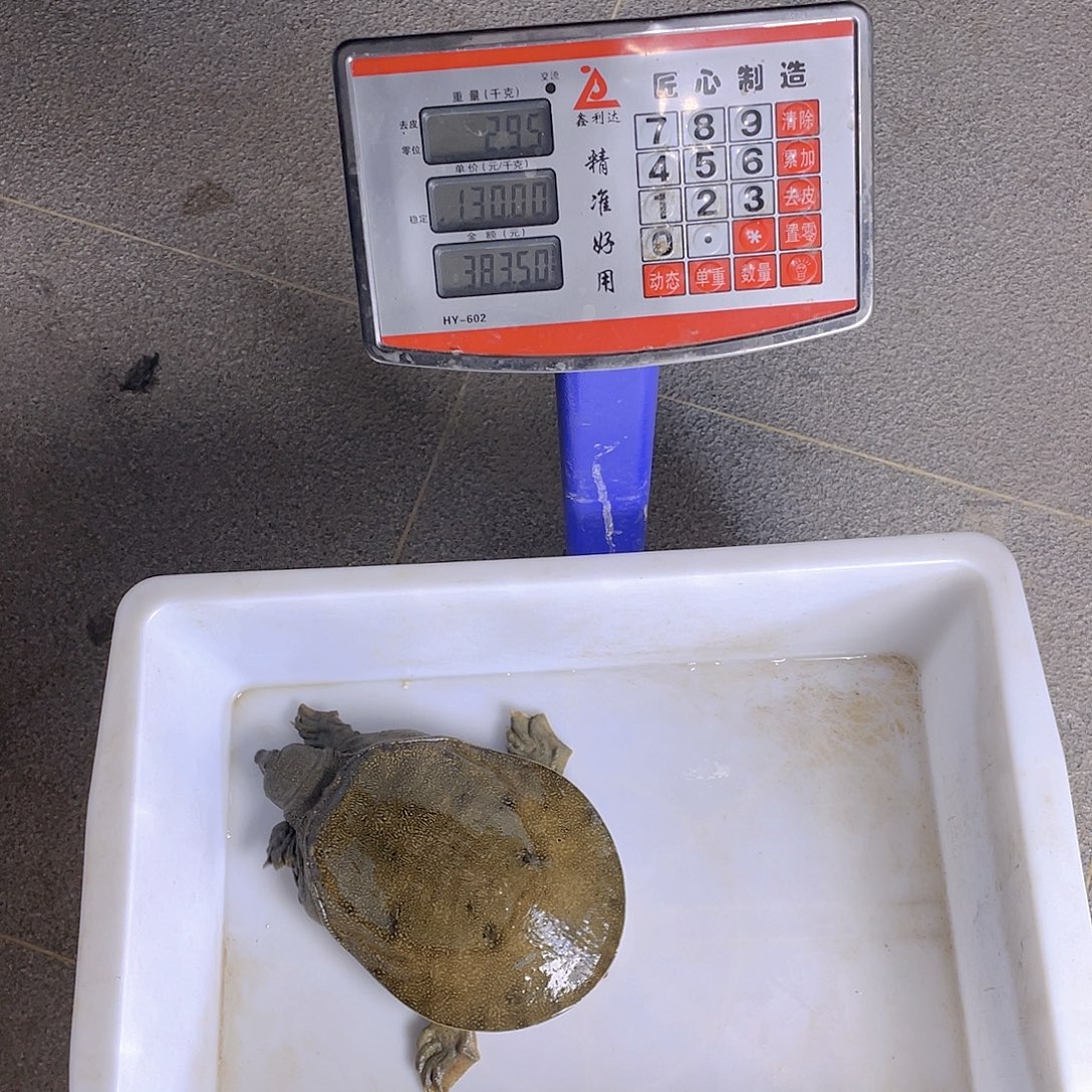 中国大陆47536536845735