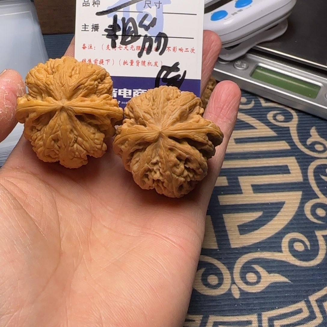 我们的生活也是如此的丰富