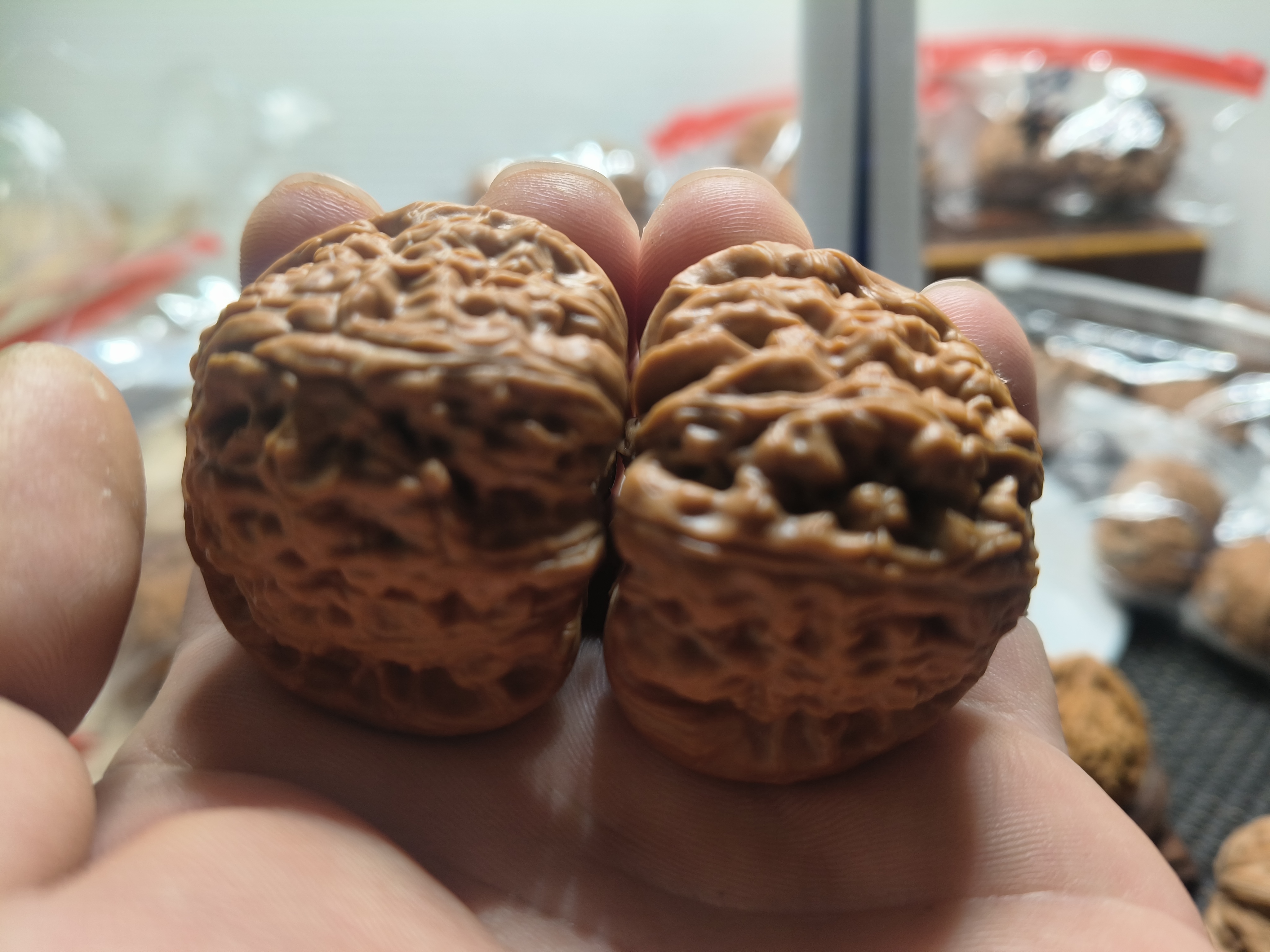 文玩核桃白狮子狮子头