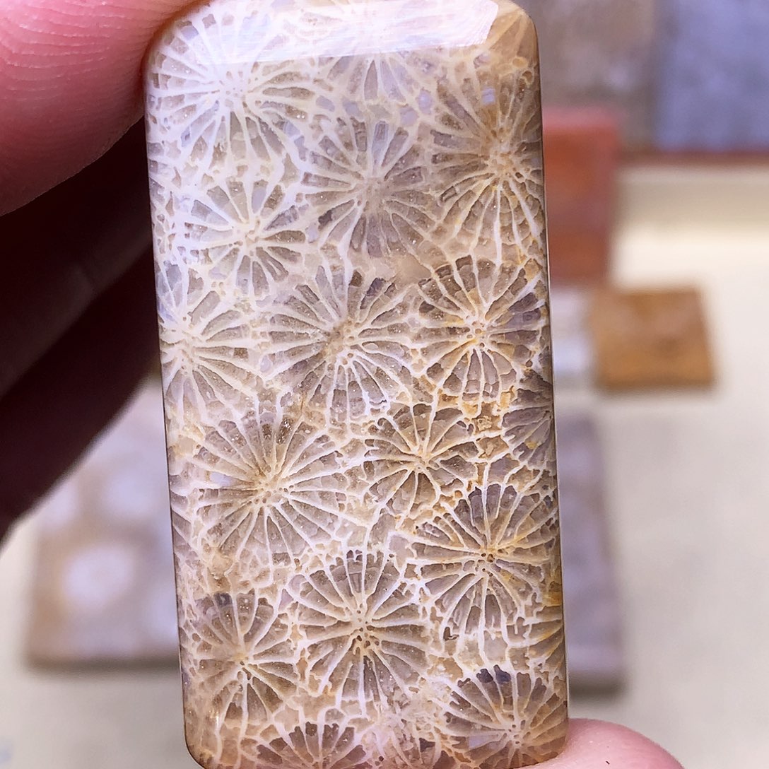 硅化玉珠宝奇石合金东*