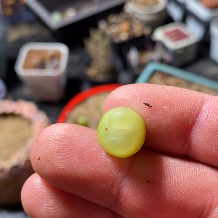 4151一个一个一个