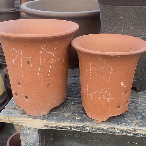 紫砂中国宜兴紫砂花，