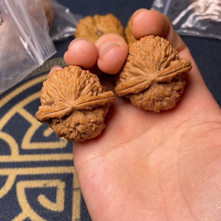 核桃边38肚36尺白狮子