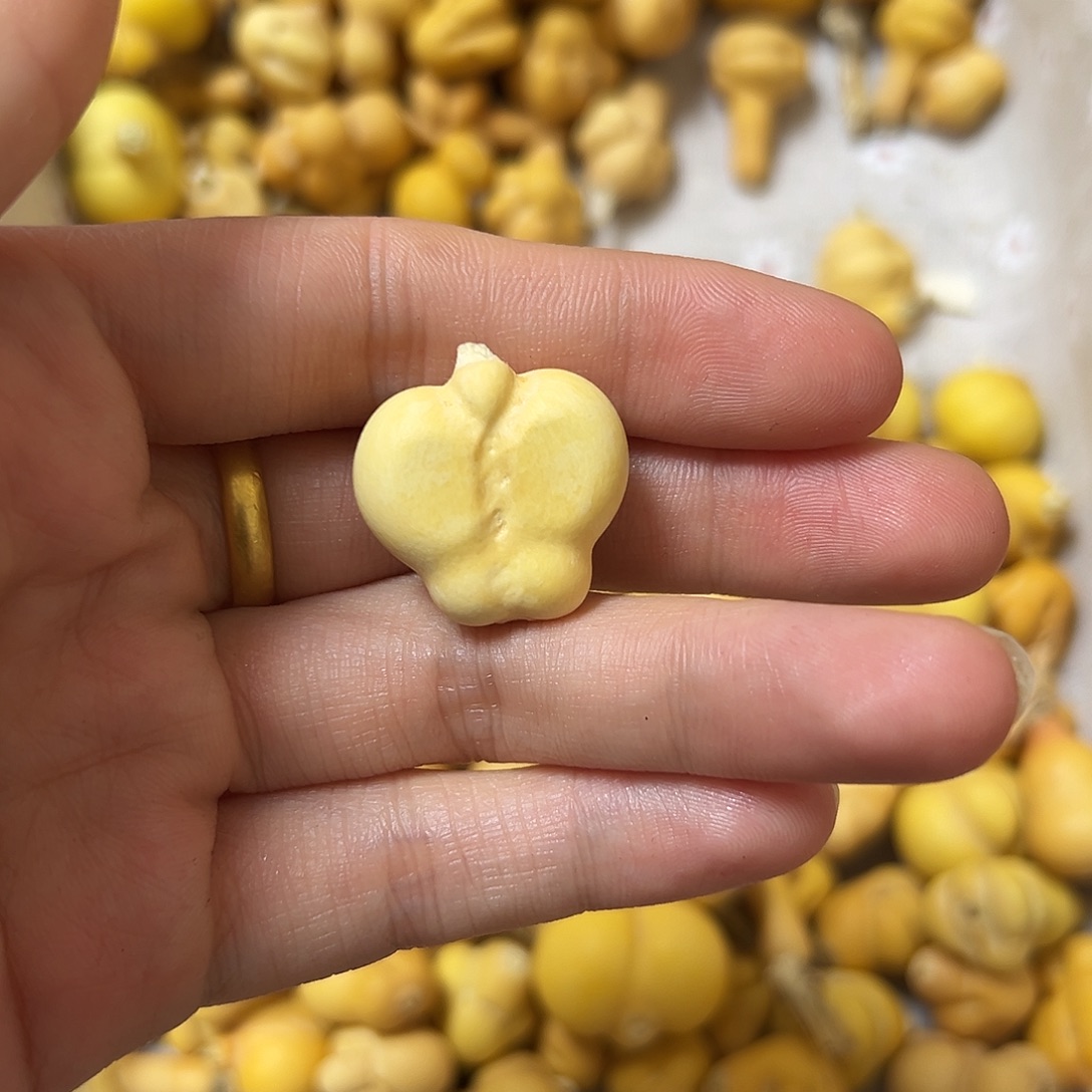 橙***子葫芦葫芦葫芦葫芦