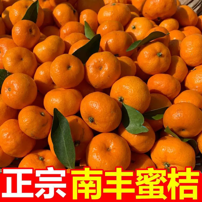 江西正宗新鲜南丰蜜橘6斤皮薄多汁香甜水果