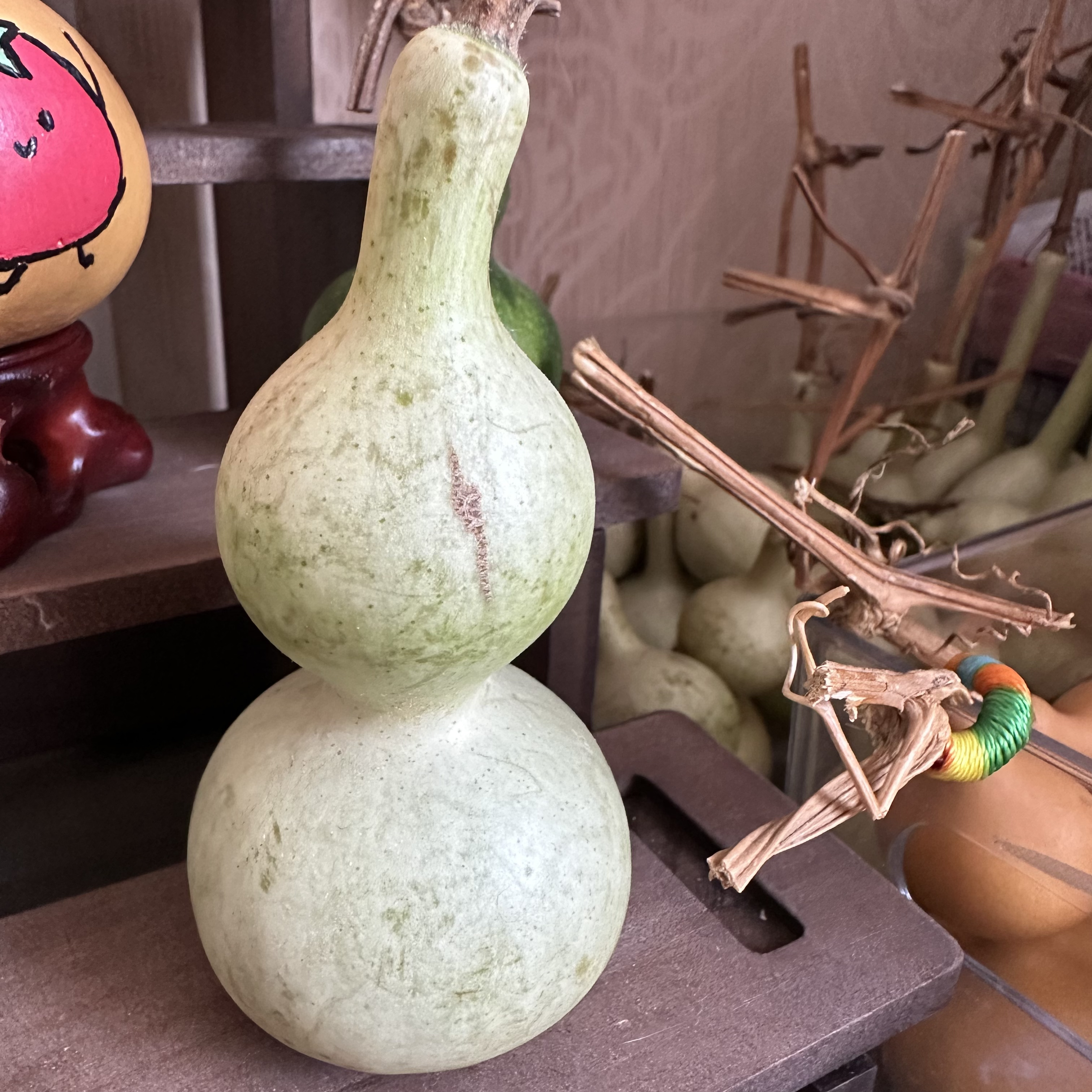 青皮葫芦（以直播间拍为准）青皮不退不换