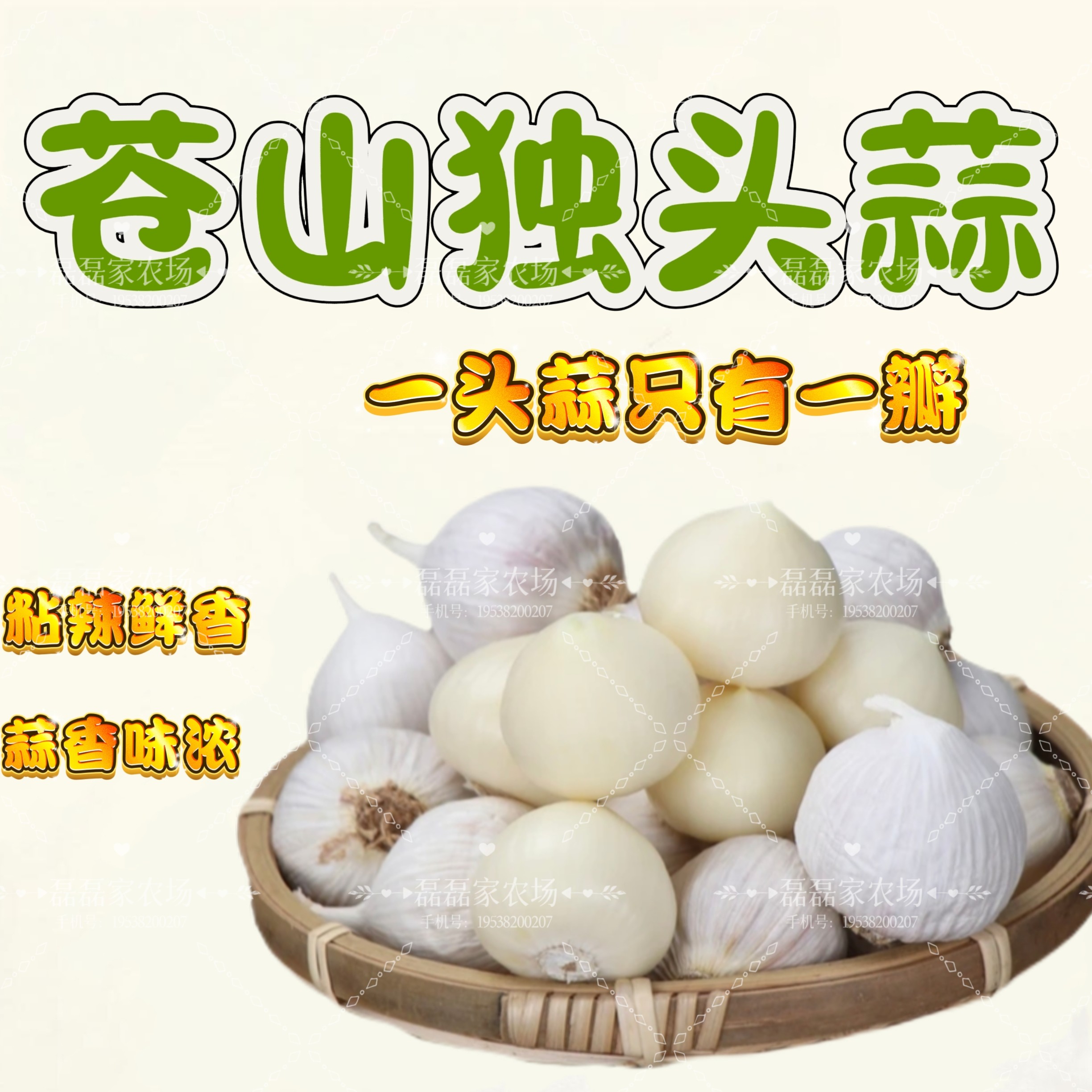 苍山白皮独头蒜25年大蒜子新干蒜