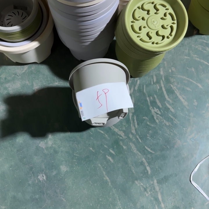 编号是59号的59号的花盆
