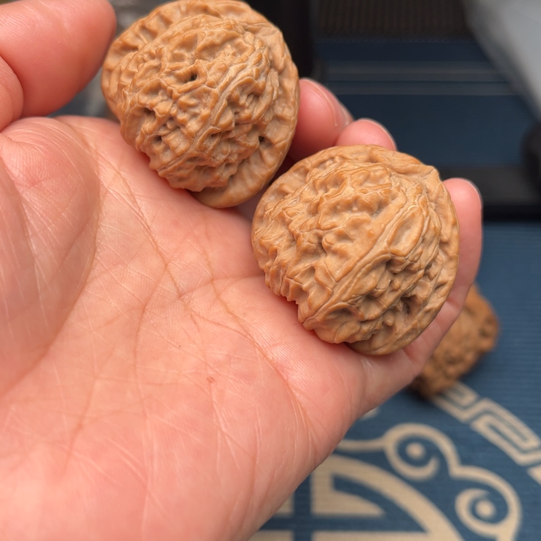 文玩核桃把件白狮子