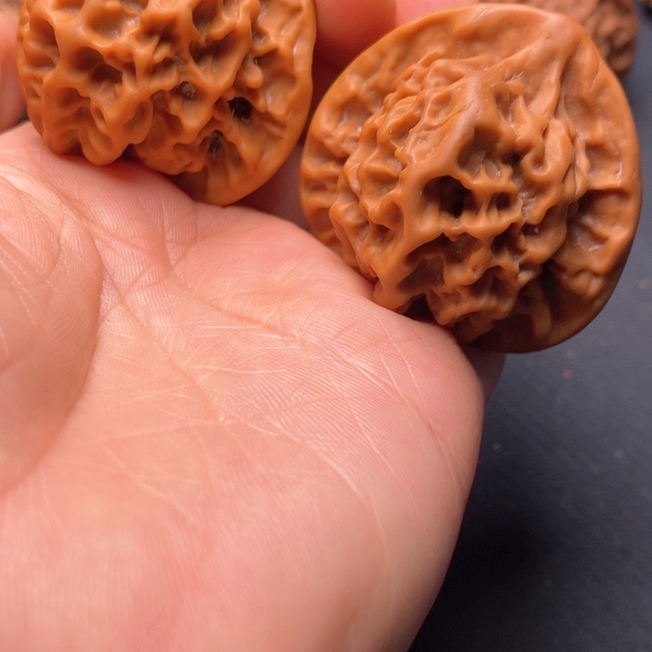 秦岭野生文玩核桃